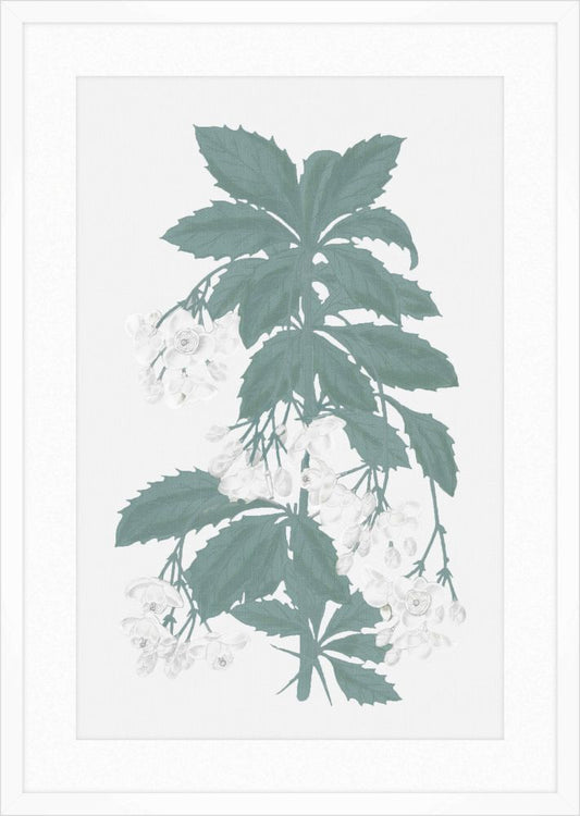 Green & White Blooms II