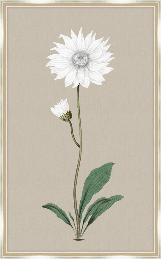 Long Flower on Taupe Linen I