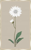 Long Flower on Taupe Linen I