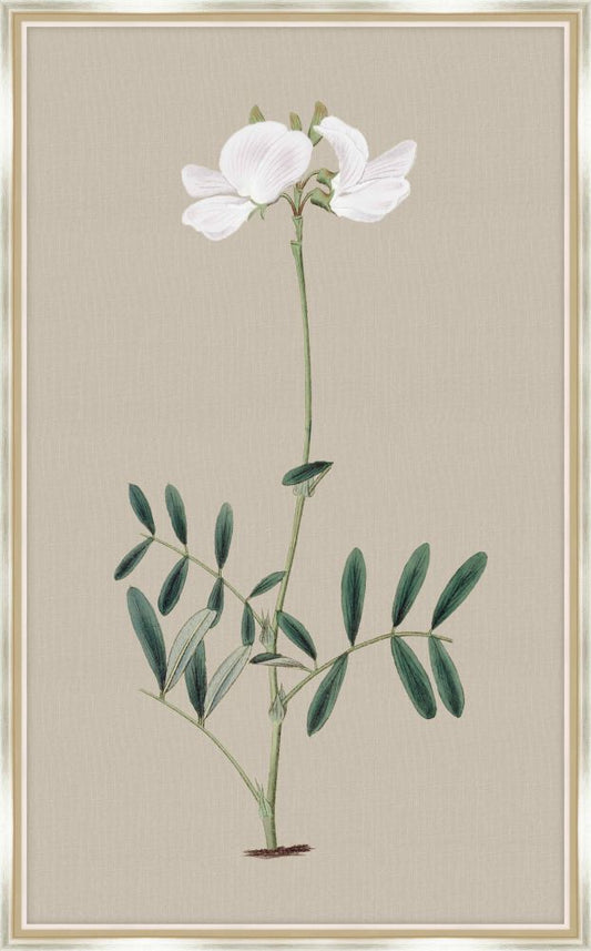 Long Flower on Taupe Linen I