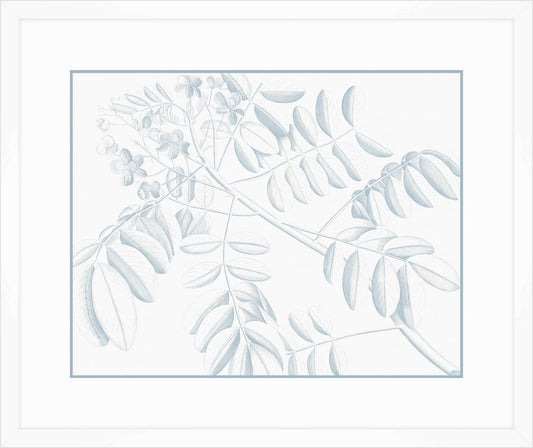 Von Rheede Botanical in Blue Nose II