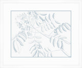 Von Rheede Botanical in Blue Nose II