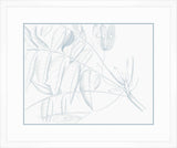 Von Rheede Botanical in Blue Nose IV