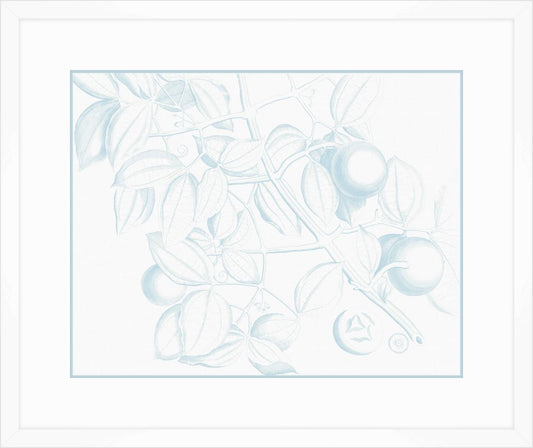 Von Rheede Botanical in Hawaiian Breeze I