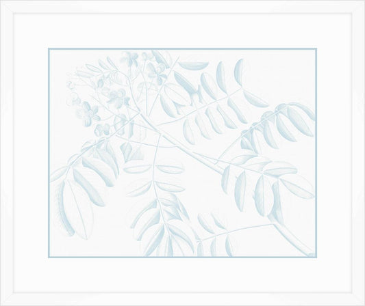 Von Rheede Botanical in Hawaiian Breeze II