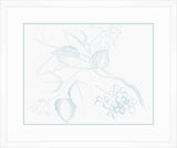 Von Rheede Botanical in Hawaiian Breeze III