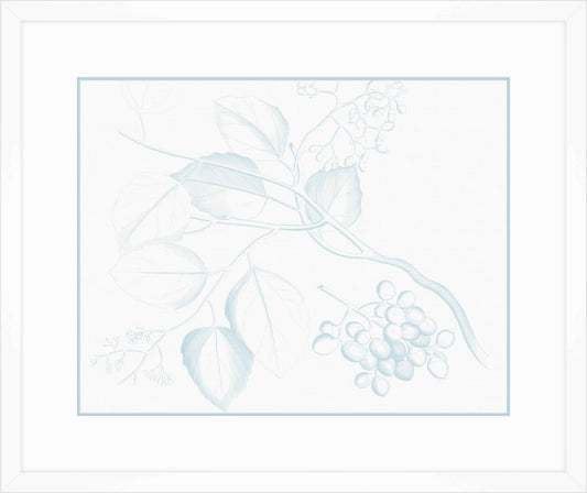 Von Rheede Botanical in Hawaiian Breeze III