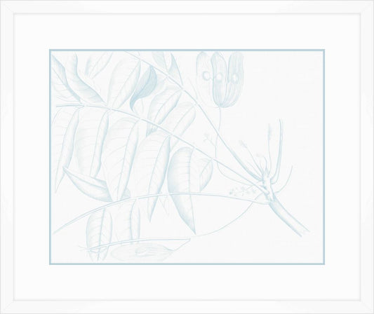 Von Rheede Botanical in Hawaiian Breeze IV