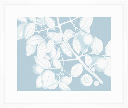 Von Rheede Botanical Hawaiian Breeze Reverse I