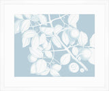 Von Rheede Botanical Hawaiian Breeze Reverse I