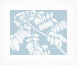 Von Rheede Botanical Hawaiian Breeze Reverse II