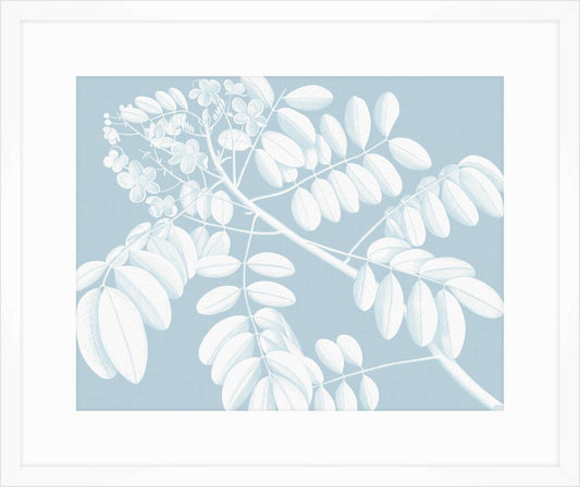 Von Rheede Botanical Hawaiian Breeze Reverse II