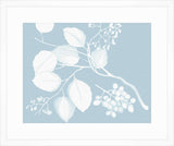 Von Rheede Botanical Hawaiian Breeze Reverse III