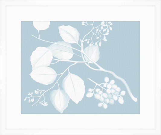 Von Rheede Botanical Hawaiian Breeze Reverse III