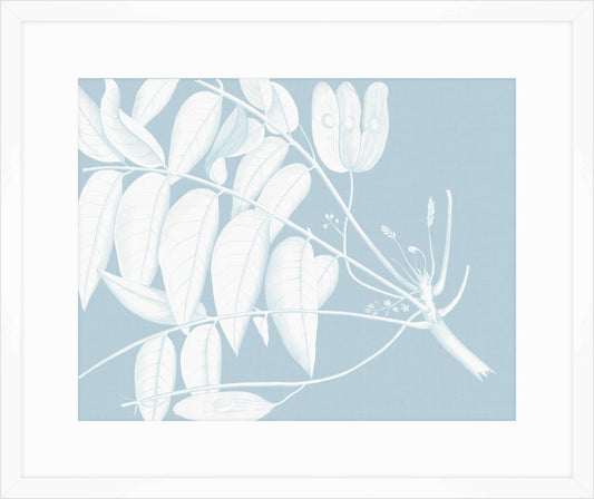 Von Rheede Botanical Hawaiian Breeze Reverse IV