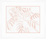 Von Rheede Botanical in Coral Reef II