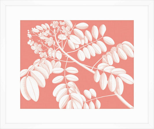 Von Rheede Botanical Coral Reef Reverse II