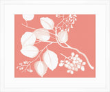 Von Rheede Botanical Coral Reef Reverse III