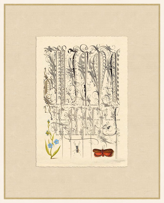 Caligraphy and Flowers III Hoefnagel,1592