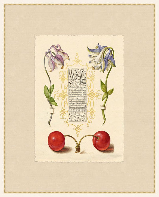 Caligraphy and Flowers VI  Hoefnagel,1592