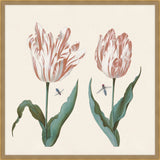 Two tulips with shell, butterfly and fly in Salmon
