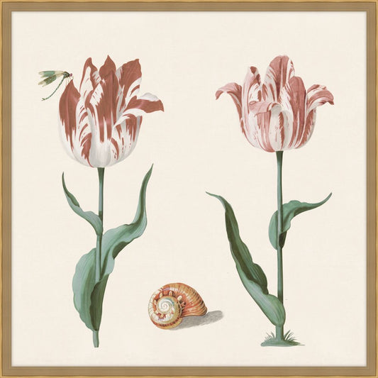 Two tulips with shell, butterfly, spider and ladybug in Salmon