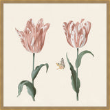 Two tulips with snail, moth and two insects in Salmon