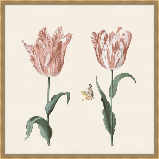 Two tulips with snail, moth and two insects in Salmon