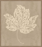 Exotic Carmel  Leaf II