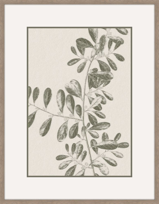 Inky Fern in Forrest Green III