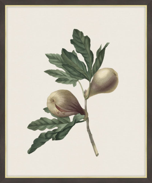 Chox Des Plus Belles Fleurs, Redoute