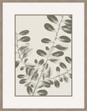 Inky Fern in Forrest Green IV