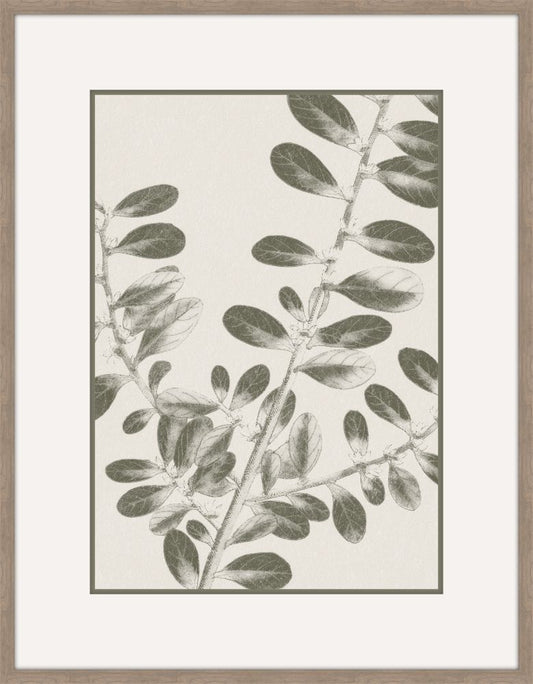 Inky Fern in Forrest Green IV