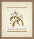 Leaves & Flowers  II