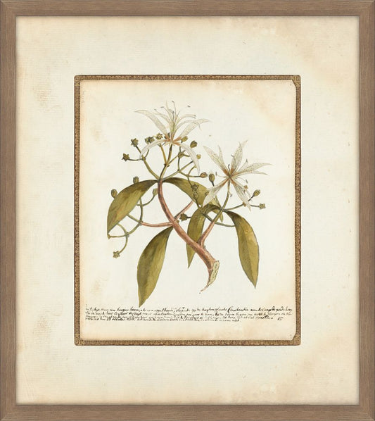 Leaves & Flowers  II