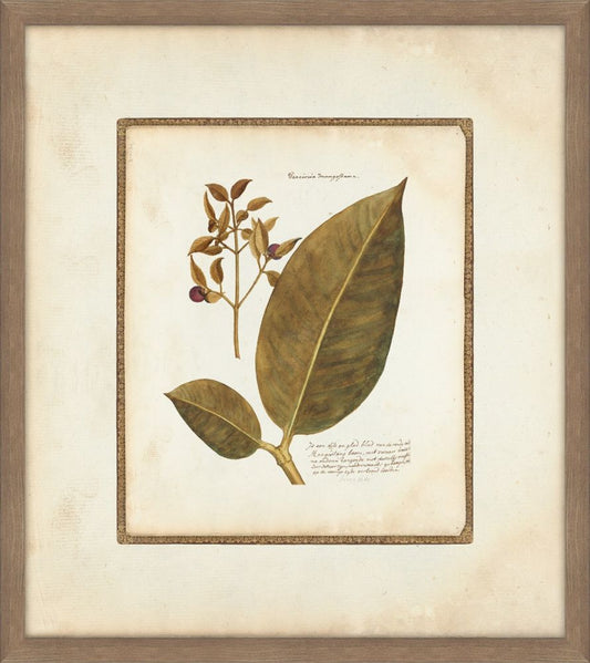 Leaves & Flowers  III