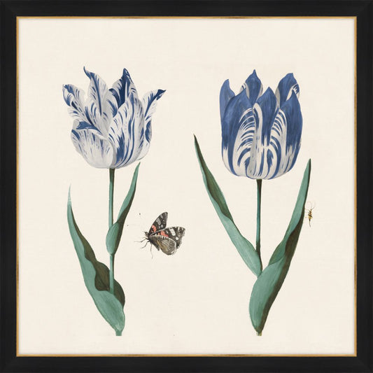 Two Tulips I Cobalt  Blue
