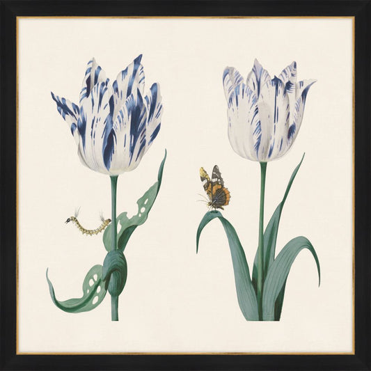 Two Tulips II Cobalt  Blue
