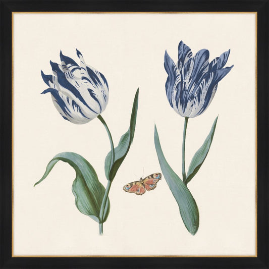 Two Tulips III Cobalt  Blue