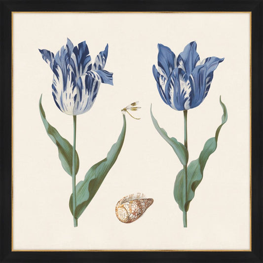Two Tulips IV Cobalt  Blue