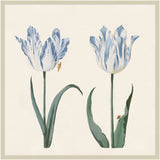 Two Tulips I in Britany Blue