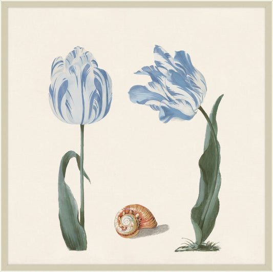 Two Tulips I in Britany Blue