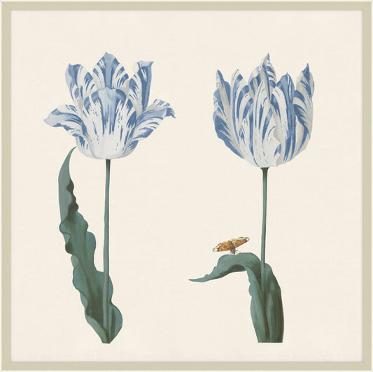Two Tulips I in Britany Blue