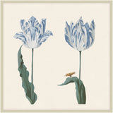 Two Tulips I in Britany Blue