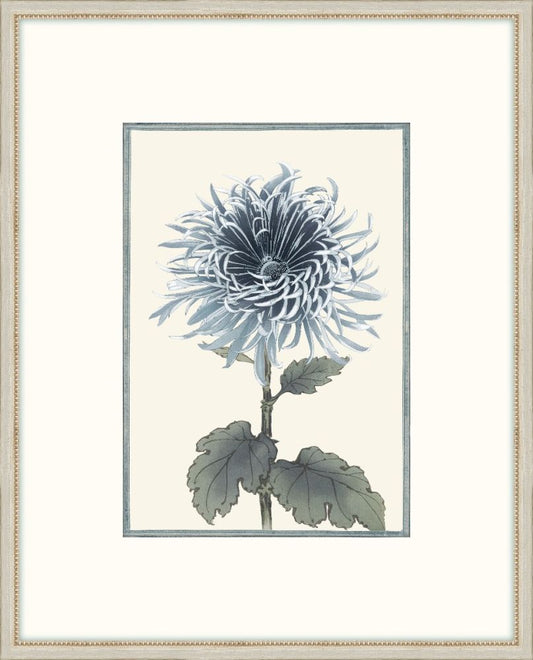 Asian Blue &  White Flowers I