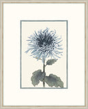 Asian Blue &  White Flowers I