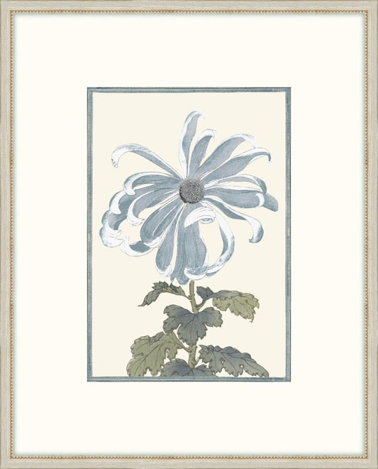 Asian Blue &  White Flowers II