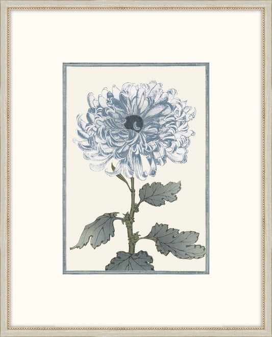 Asian Blue &  White Flowers III