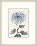 Asian Blue &  White Flowers III