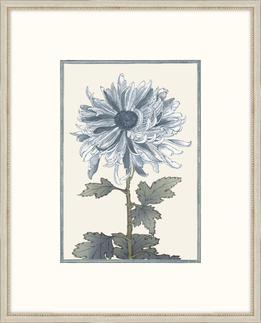 Asian Blue &  White Flowers IV